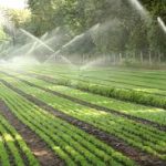 Irrigation Experts County Dublin