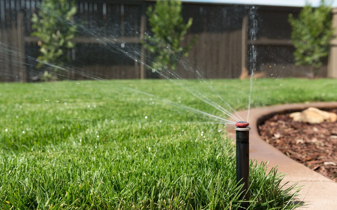 Lawn Irrigation